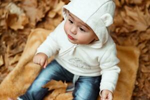 Sweet baby in autumn park photo