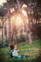 pequeño chico en el bosque foto