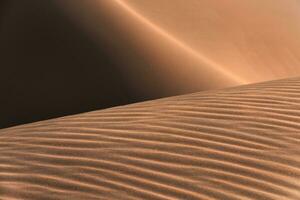 Liwa desert in Abu Dhabi photo