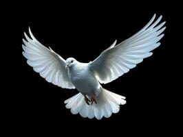 AI generated Beautiful White Dove Flapping Its Wings Isolated on Black Background. Generative AI photo