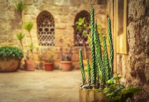 Beautiful yard of an ancient church photo