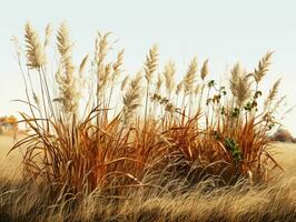 AI generated Prairies Grasses with Blue Sky View. Grass on Wild Field. Generative AI photo