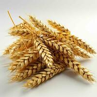 AI generated Close up of Wheat Ears Isolated on White Background. Wheat Grain. Generative AI photo
