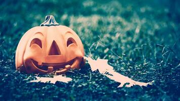 Halloween pumpkin in the forest photo