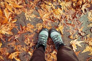 Walking in Autumn Park photo