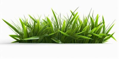 AI generated Fresh Green Grass Isolated on White Background. Generative AI photo