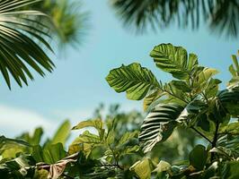 ai generado exótico tropical hojas antecedentes con Copiar espacio en el centro. generativo ai foto