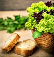 Fresh green salad photo