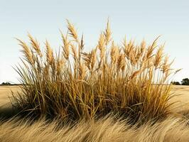 AI generated Prairies Grasses with Blue Sky View. Grass on Wild Field. Generative AI photo
