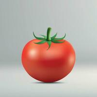 tomate aislado sobre fondo blanco. vector