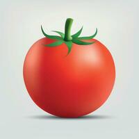 tomate aislado sobre fondo blanco. vector