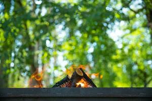 Campfire Over Green Background photo