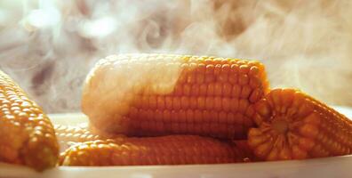 Tasty Boiled Sweetcorn photo