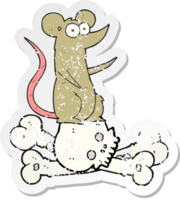 retro distressed sticker of a cartoon rat on bones png