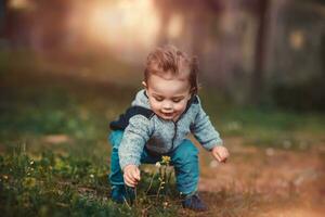 Baby boy collect flowers photo