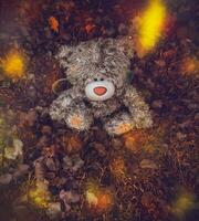 Cute Teddy Bear with leaves photo