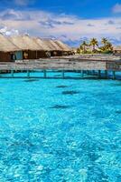 Luxury resort in Maldives photo