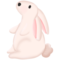 lindo conejito de pascua png