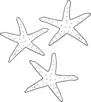 svart och vit tecknad serie sjöstjärna png
