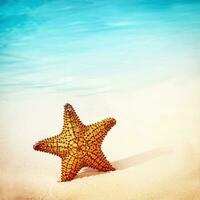 Beautiful starfish background photo