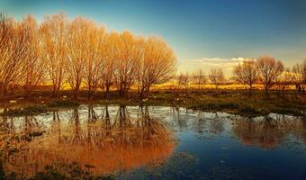 Beautiful autumn landscape photo