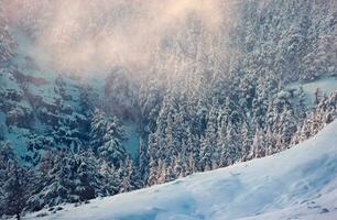 increíble paisaje de invierno foto