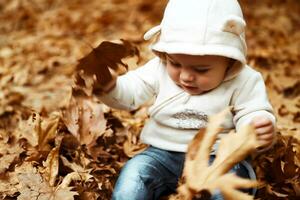 Little boy playing in the park photo