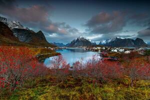 Beautiful Norway Landscape photo