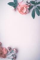 Beautiful floral background border photo
