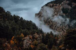 Mountains covered by Fog photo