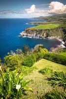 Green island in the Atlantic Ocean, Sao Miguel, Azores, Portugal photo