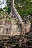 Preah Khan temple, Angkor area, Siem Reap, Cambodia photo
