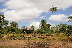 Peru, Peruvian Amazonas landscape. The photo present typical indian tribes settlement in Amazon