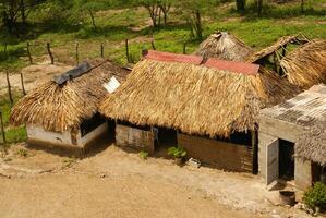 Peru, Peruvian Amazonas landscape. The photo present typical indian tribes settlement in Amazon