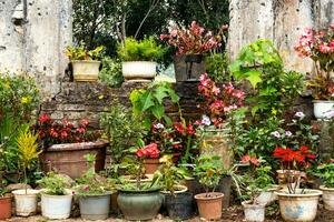 Many potted flowery plants standing outdoors. photo