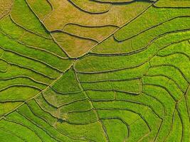 Rice field terraces aerial view. photo