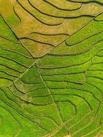 Drone view of terraced rice fields in Vietnam. photo