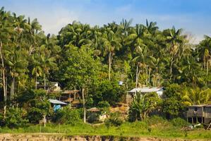 Peru, Peruvian Amazonas landscape. The photo present typical indian tribes settlement in Amazon