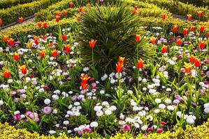 Gardens Muckross Killarney National Park, Ireland photo