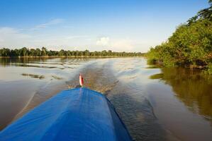 A river and beautiful trees in a rainforest Peru photo