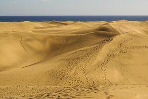 Las Dunas de Maspalomas at Gran Canaria photo