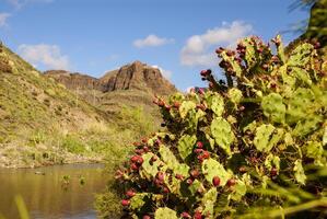 Beautiful mountain scape panorama in Gran Canaria, Spain photo
