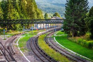 vías del tren en una escena rural. foto