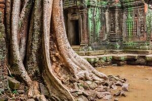 ejército de reserva prohm templo, angkor, cerca siem recoger, Camboya foto