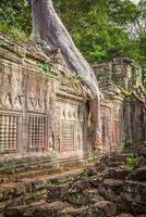 Preah Khan temple, Angkor area, Siem Reap, Cambodia photo