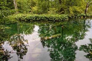 Plitvice lakes in Croatia - nature travel background photo