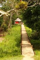 Peru, Peruvian Amazonas landscape. The photo present typical indian tribes settlement in Amazon