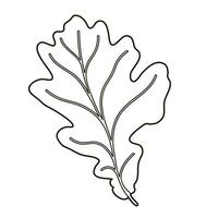 Vector image silhouette of a realistic shape of oak leave. Seasonal decorative background