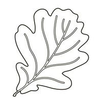 Vector image silhouette of a realistic shape of oak leave. Seasonal decorative background