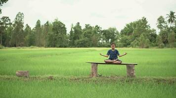 asiatico ragazza meditazione o In piedi yoga a all'aperto, campagna di Tailandia. video